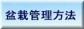 盆栽管理方法
