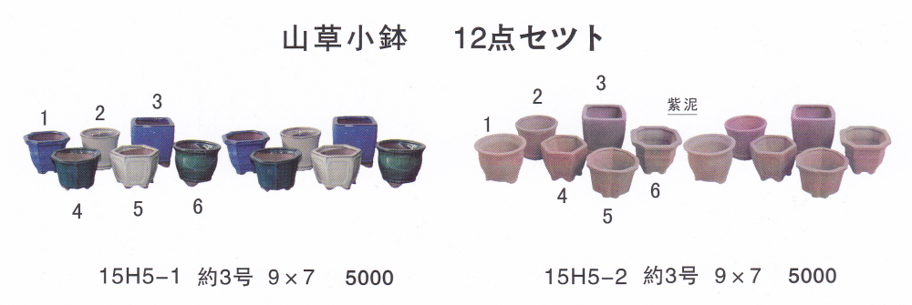 ミニ盆栽鉢セットの販売専門店/盆栽鉢通販サイト山太屋盆栽オンライン 