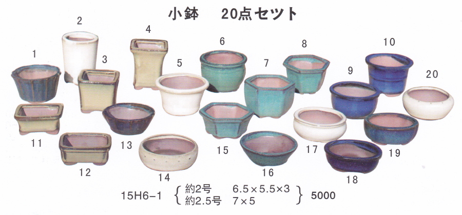 山野草鉢・ミニ盆栽鉢セット（２号・２．５号２０品）
