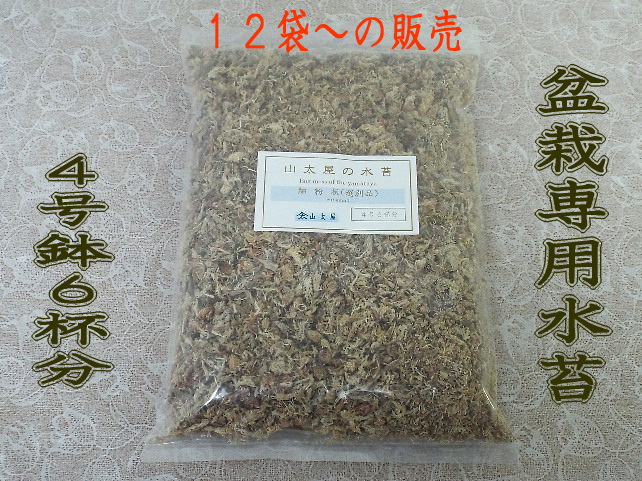 盆栽用水苔の販売 通販 12袋以上 山太屋オリジナル盆栽用土 盆栽用水苔の販売 通販 12袋以上 山太屋オリジナル盆栽用土