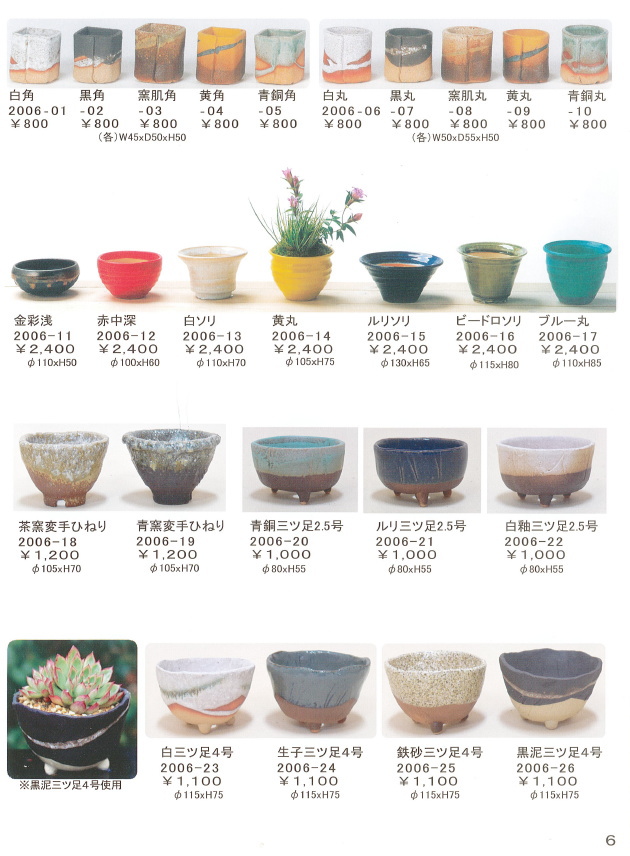新品 送料無料 ミニ盆栽の鉢5点セットです drenriquejmariani.com