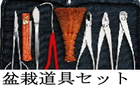 盆栽道具セット